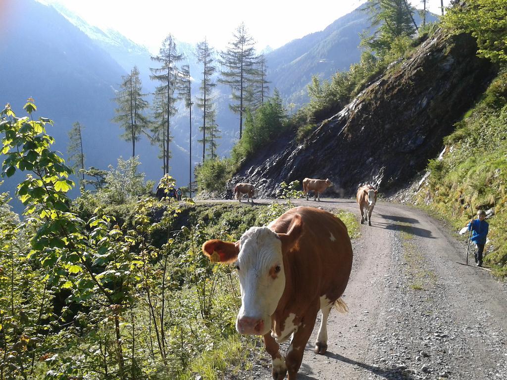 Готель Feriendorf Ponyhof Fusch an der Grossglocknerstrasse Екстер'єр фото